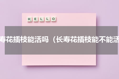 长寿花插枝能活吗（长寿花插枝能不能活）