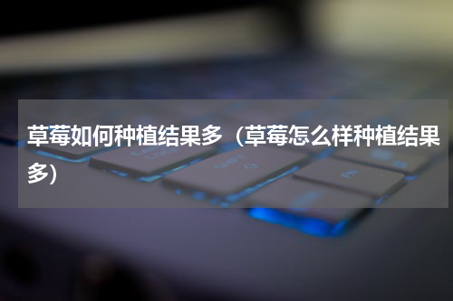 草莓如何种植结果多（草莓怎么样种植结果多）
