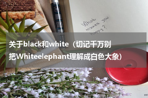 关于black和white（切记千万别把Whiteelephant理解成白色大象）