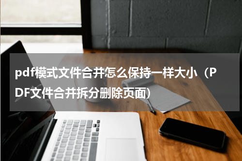 pdf模式文件合并怎么保持一样大小（PDF文件合并拆分删除页面）