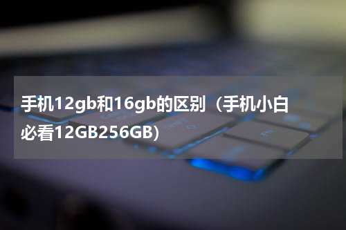 手机12gb和16gb的区别（手机小白必看12GB256GB）