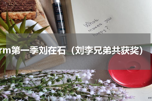 rm第一季刘在石（刘李兄弟共获奖）