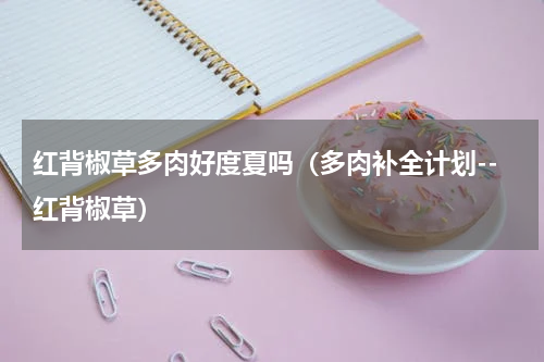 红背椒草多肉好度夏吗（多肉补全计划--红背椒草）