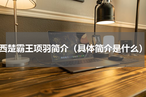西楚霸王项羽简介（具体简介是什么）
