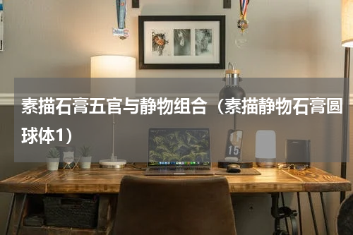 素描石膏五官与静物组合（素描静物石膏圆球体1）