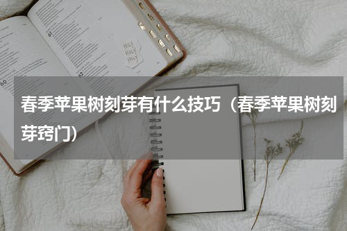 春季苹果树刻芽有什么技巧（春季苹果树刻芽窍门）