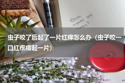 虫子咬了后起了一片红痒怎么办（虫子咬一口红疙瘩起一片）