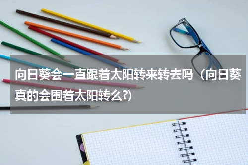 向日葵会一直跟着太阳转来转去吗（向日葵真的会围着太阳转么?）