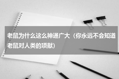 老鼠为什么这么神通广大（你永远不会知道老鼠对人类的项献）