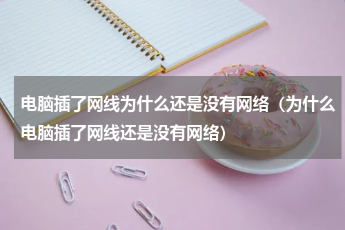 电脑插了网线为什么还是没有网络（为什么电脑插了网线还是没有网络）