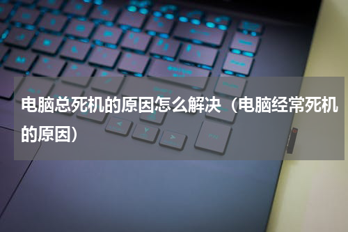 电脑总死机的原因怎么解决（电脑经常死机的原因）