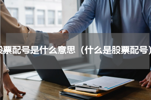 股票配号是什么意思（什么是股票配号）
