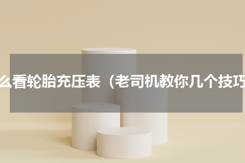 怎么看轮胎充压表（老司机教你几个技巧）
