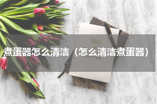 煮蛋器怎么清洁（怎么清洁煮蛋器）