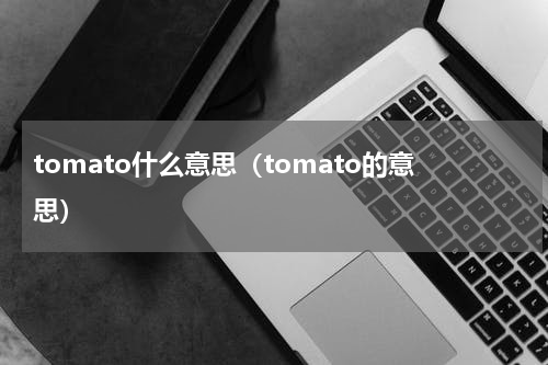 tomato什么意思（tomato的意思）