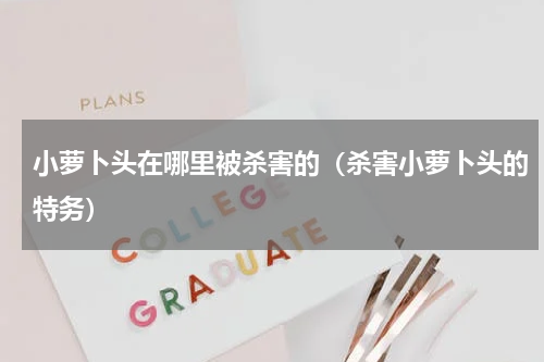 小萝卜头在哪里被杀害的（杀害小萝卜头的特务）