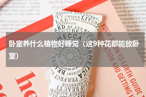 卧室养什么植物好睡觉（这9种花都能放卧室）