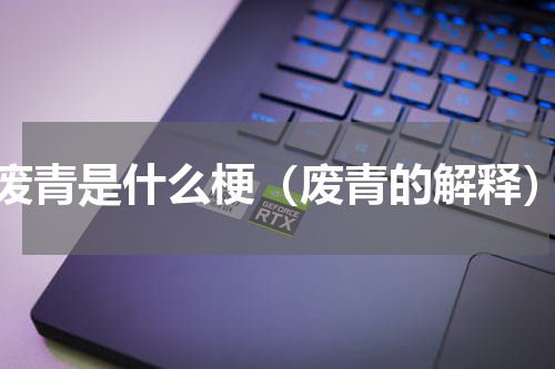 废青是什么梗（废青的解释）