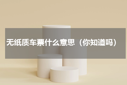 无纸质车票什么意思（你知道吗）