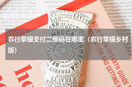 农行掌银支付二维码在哪里（农行掌银乡村版）