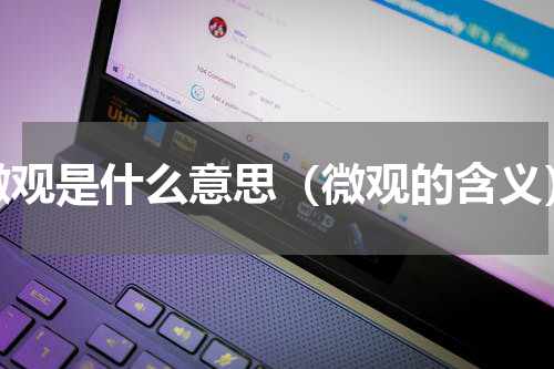 微观是什么意思（微观的含义）