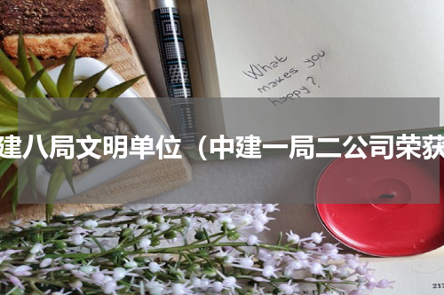 中建八局文明单位（中建一局二公司荣获）