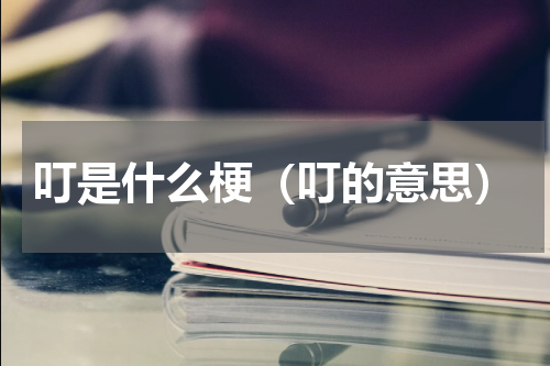 叮是什么梗（叮的意思）