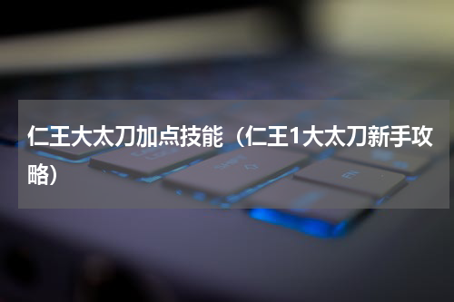 仁王大太刀加点技能（仁王1大太刀新手攻略）