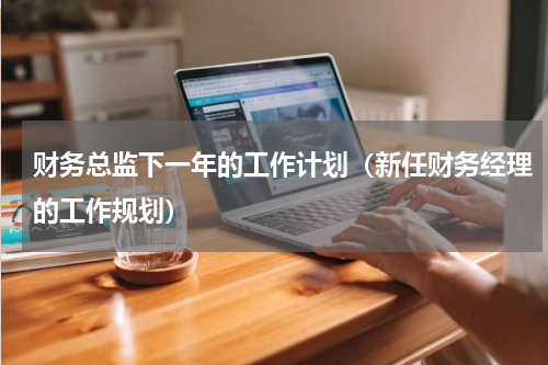财务总监下一年的工作计划（新任财务经理的工作规划）