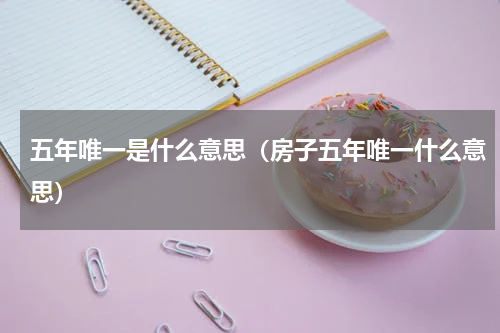 五年唯一是什么意思（房子五年唯一什么意思）