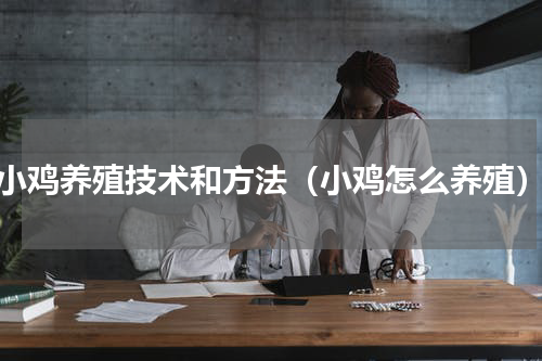 小鸡养殖技术和方法（小鸡怎么养殖）