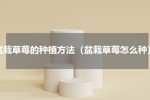 盆栽草莓的种植方法（盆栽草莓怎么种）
