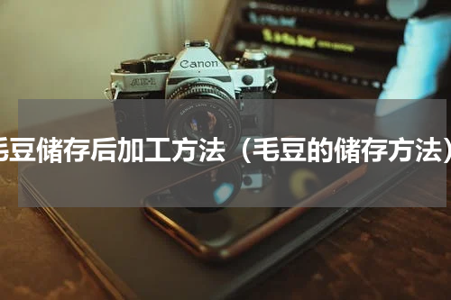毛豆储存后加工方法（毛豆的储存方法）