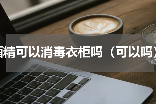 酒精可以消毒衣柜吗（可以吗）