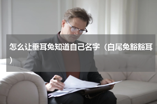 怎么让垂耳兔知道自己名字（白尾兔豁豁耳）