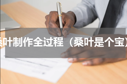 桑叶制作全过程（桑叶是个宝）