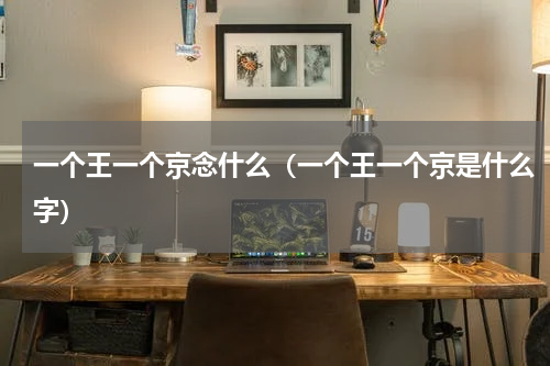 一个王一个京念什么（一个王一个京是什么字）