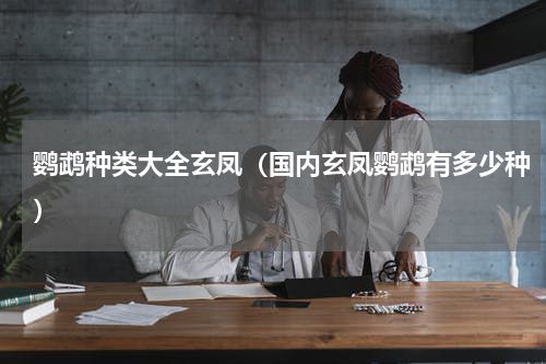 鹦鹉种类大全玄凤（国内玄凤鹦鹉有多少种）