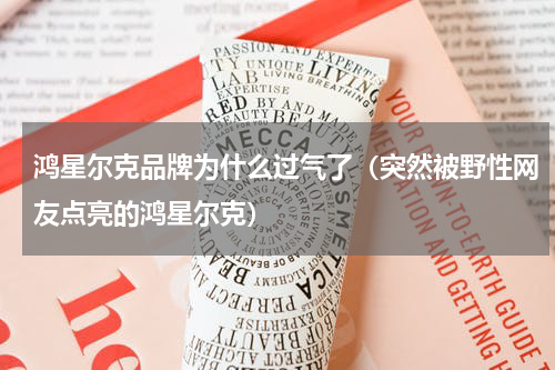 鸿星尔克品牌为什么过气了（突然被野性网友点亮的鸿星尔克）