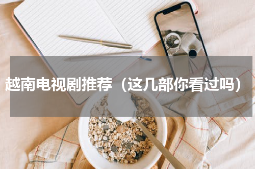 越南电视剧推荐（这几部你看过吗）