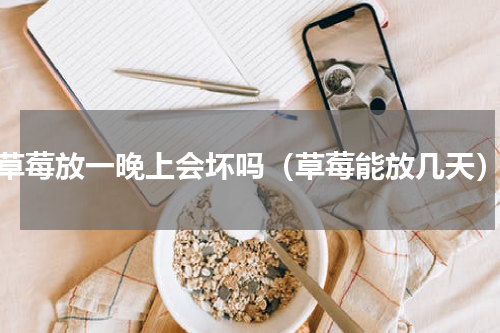 草莓放一晚上会坏吗（草莓能放几天）