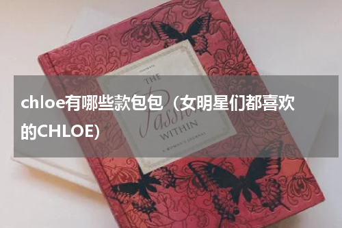 chloe有哪些款包包（女明星们都喜欢的CHLOE）