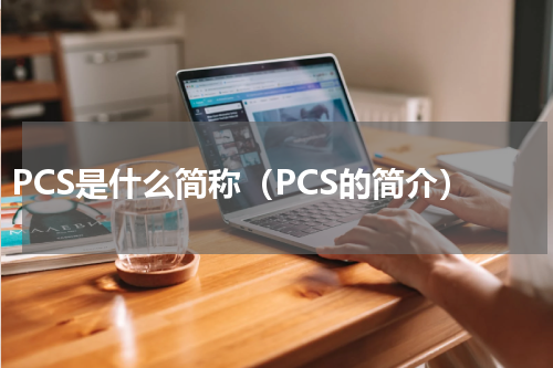 PCS是什么简称（PCS的简介）