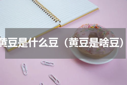 黄豆是什么豆（黄豆是啥豆）