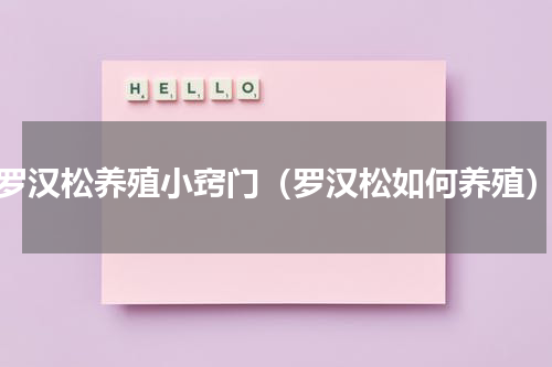 罗汉松养殖小窍门（罗汉松如何养殖）