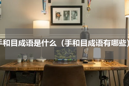 手和目成语是什么（手和目成语有哪些）