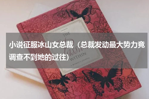 小说征服冰山女总裁（总裁发动最大势力竟调查不到她的过往）
