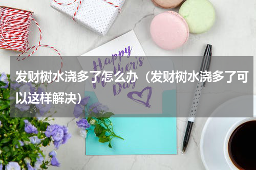 发财树水浇多了怎么办（发财树水浇多了可以这样解决）