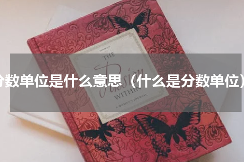 分数单位是什么意思（什么是分数单位）