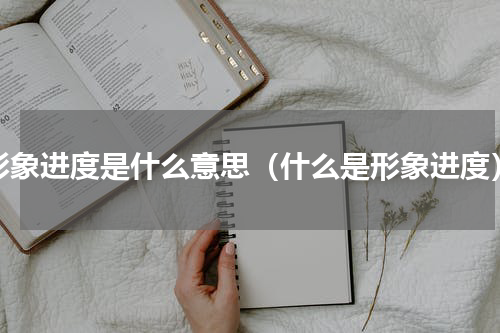 形象进度是什么意思（什么是形象进度）